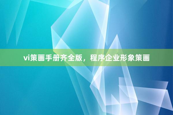 vi策画手册齐全版，程序企业形象策画
