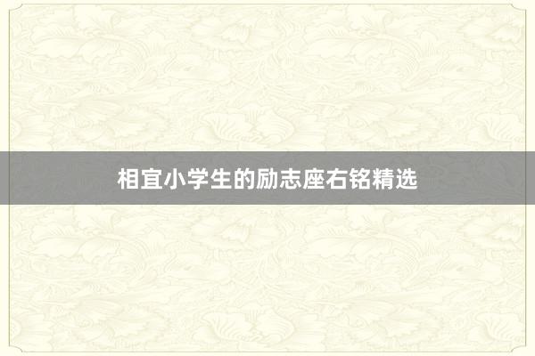 相宜小学生的励志座右铭精选