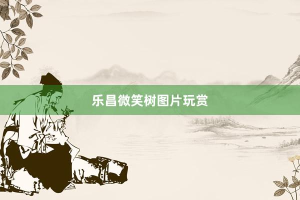 乐昌微笑树图片玩赏