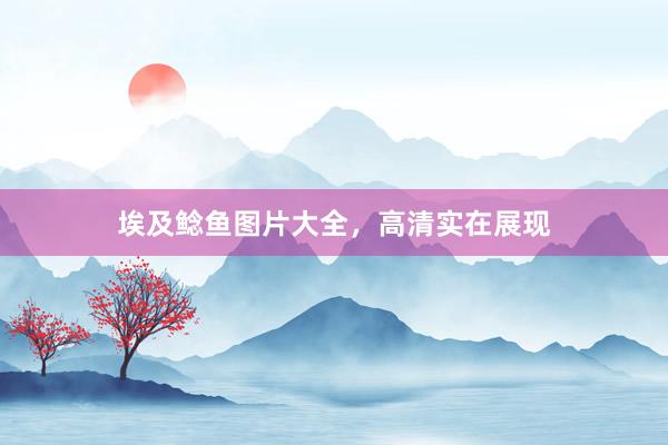 埃及鲶鱼图片大全，高清实在展现
